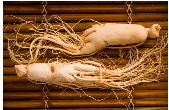Should I use red ginseng for erectile dysfunction?