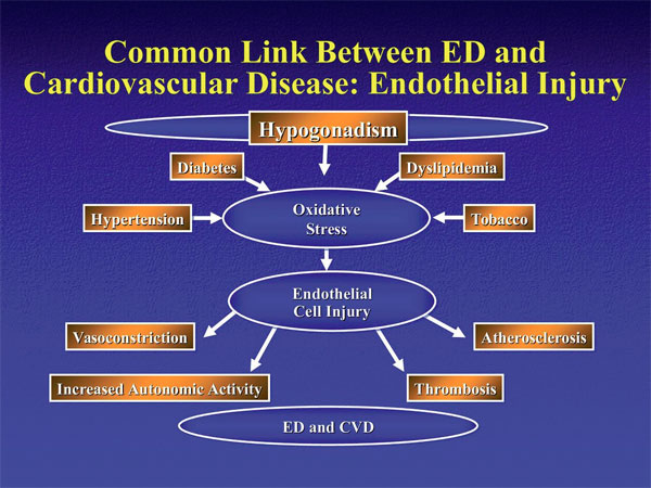 Recent advances in the treatment of erectile dysfunction
